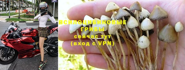 мескалин Арсеньев