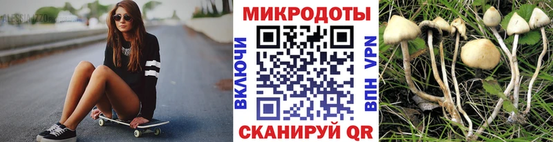 где купить наркоту Лянтор kraken ССЫЛКА Псилоцибиновые грибы Cubensis