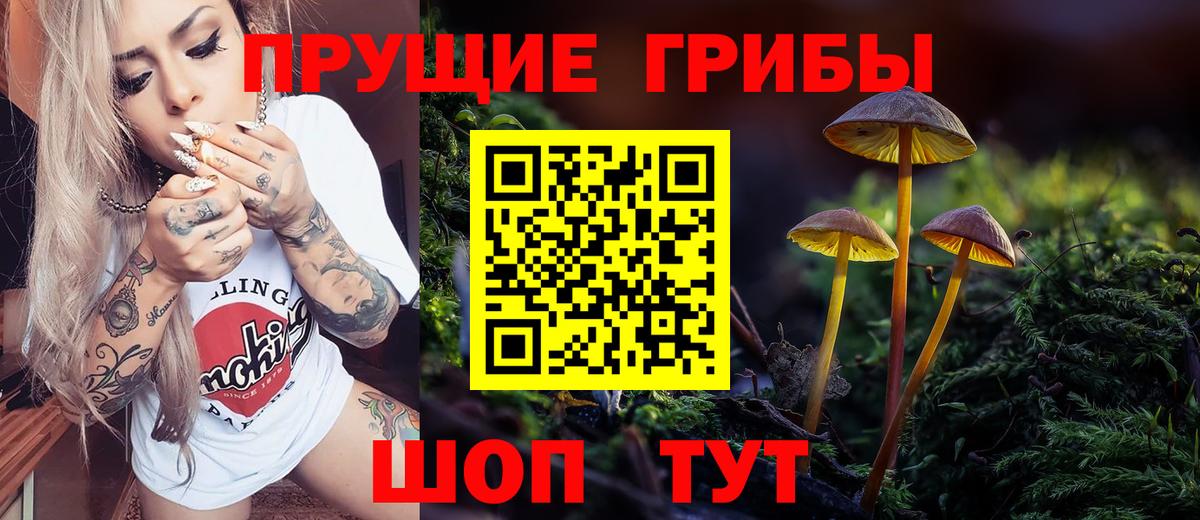 Псилоцибиновые грибы GOLDEN TEACHER  Вход с VPN  Лянтор 