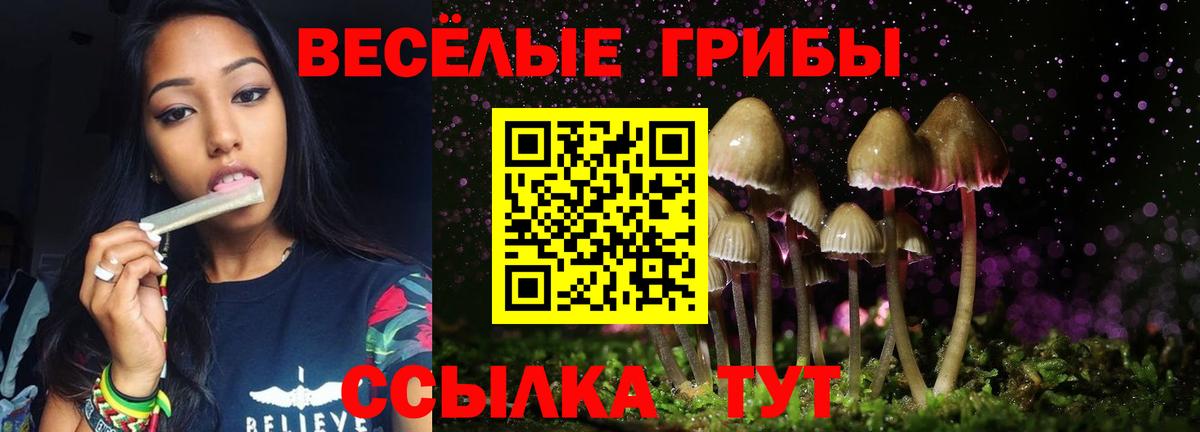 Псилоцибиновые грибы Cubensis Лянтор